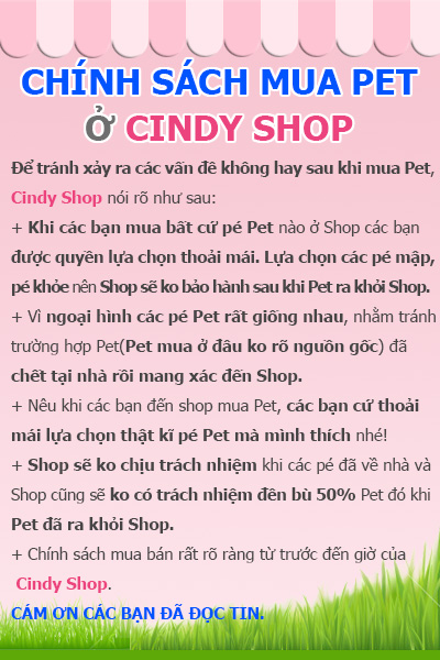 Chính sách Cindy Shop