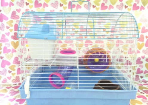 LỒNG VÒM LỚN SHOBI