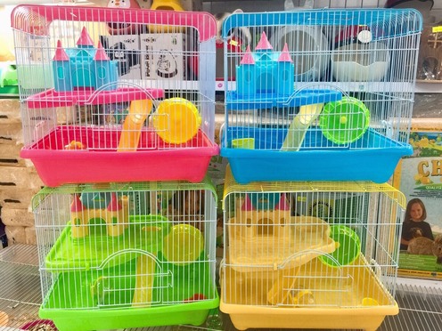 LỒNG LÂU ĐÀI LỚN