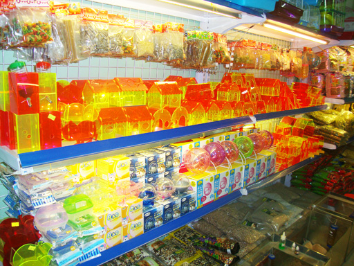 hamster_shop01