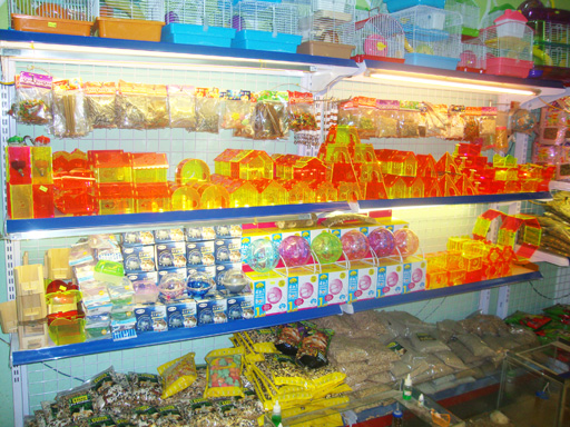 hamster_shop02